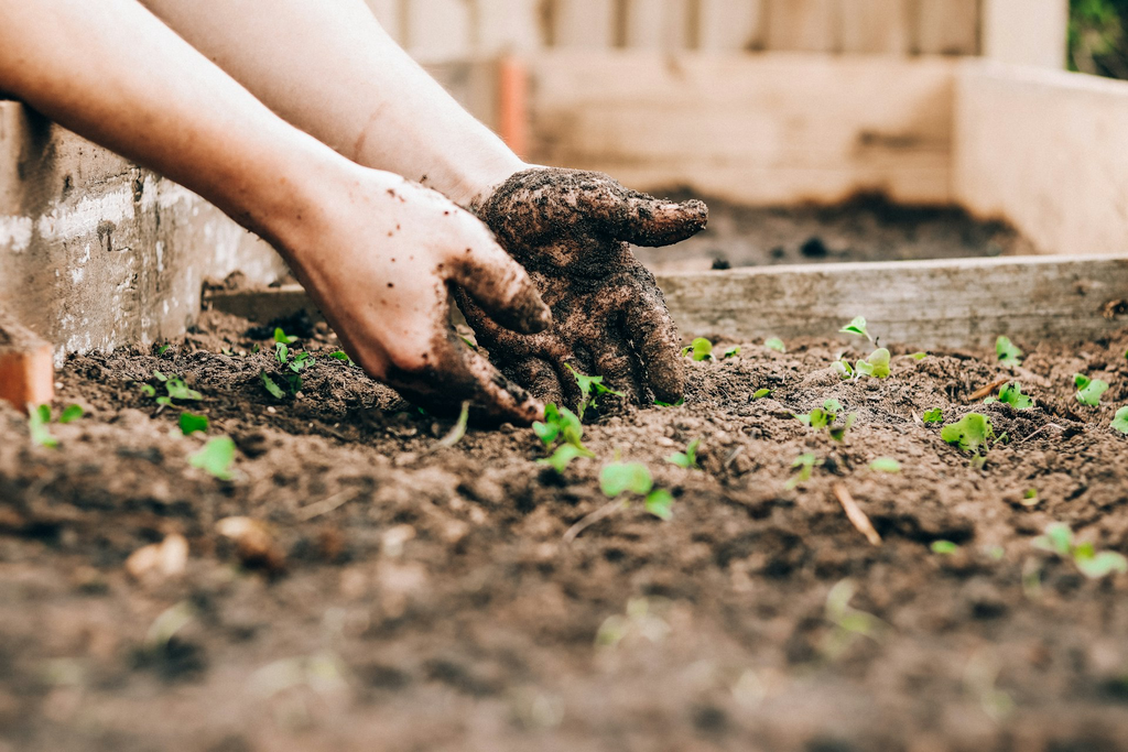 unsplash_q13Zq1Jufks_jardinage.webp