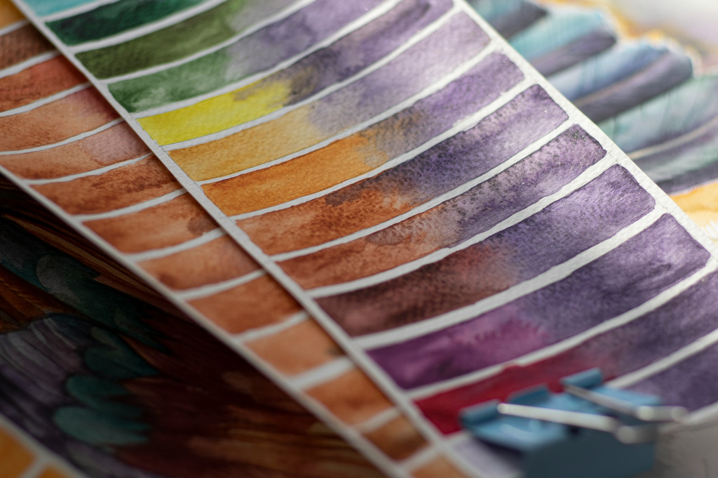 unsplash_eqK5zSSyirA_aquarelle.webp.jpg